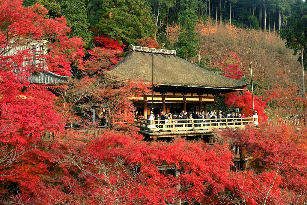 Rin Kyoto Kinkaku-Ji Temple Villa Luaran gambar